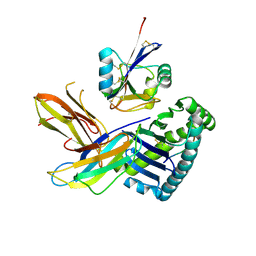 Binding-site docking